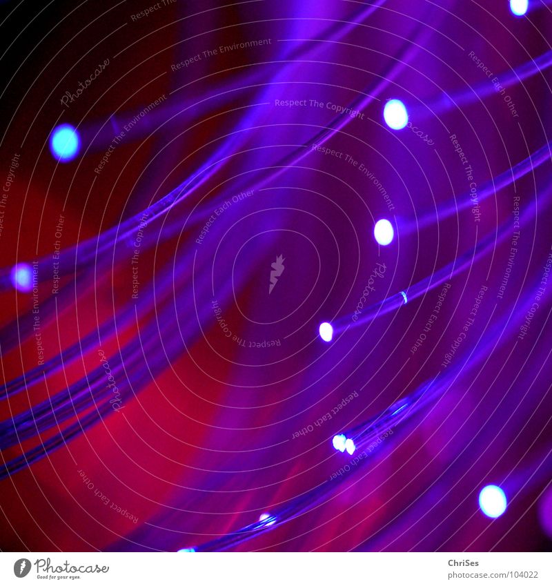 dark violet in red dunkel violett rot schwarz Licht Lampe Unschärfe Hintergrundbild Nordwalde Makroaufnahme Nahaufnahme Elektrisches Gerät Technik & Technologie