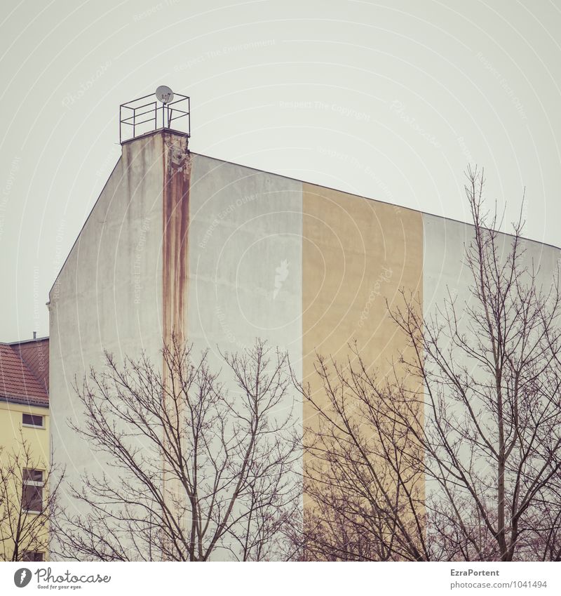 Hinterhof Häusliches Leben Haus Himmel Baum Stadt Bauwerk Gebäude Architektur Mauer Wand Fassade Dach Satellitenantenne Linie Streifen kalt gelb grau weiß