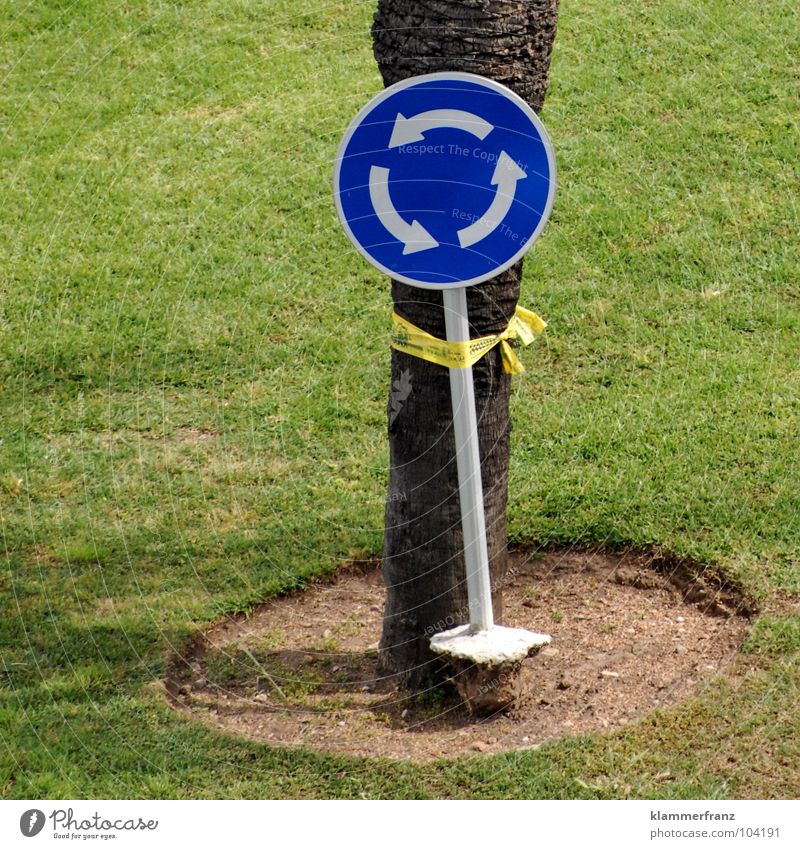 Wirres Zeug Kreisverkehr durcheinander Mallorca Verkehr rund Wiese Gras Golfplatz Punk Palme Baum festhalten Schwindelgefühl flau brechen Ehrlichkeit Verbindung