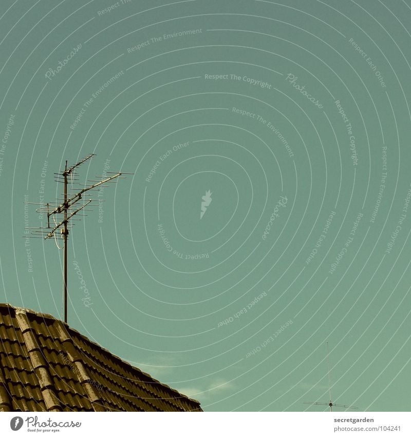 sie spatzen vom dach pfeifenn es Dach Haus Raum Dachziegel Antenne Sommer Außenaufnahme Schönes Wetter Himmel blau Ecke fernsehen. telekomunikation