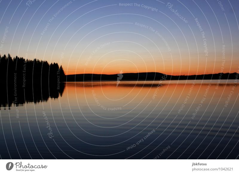 Bras d'Or Lake Umwelt Natur Landschaft Urelemente Wasser Himmel Horizont Sonnenaufgang Sonnenuntergang Sonnenlicht Sommer Wetter Schönes Wetter Pflanze See