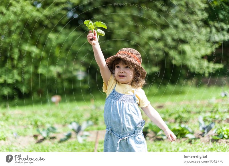 Kind hält Radieschen hoch Gemüse Freude Sommer Garten Gartenarbeit Mensch Kleinkind 1 1-3 Jahre Feld Hut lachen stehen schön niedlich Fröhlichkeit Lebensfreude