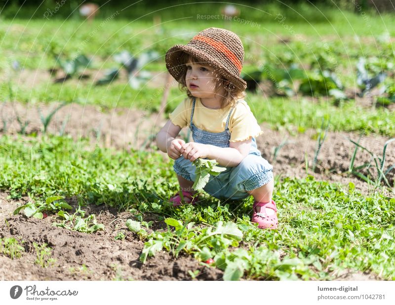 Mädchen im Feld Gemüse Freude Sommer Garten Kind Gartenarbeit Kleinkind Hut hocken lachen anbauen Beet Ernte Gemüsebeet ducken pflegen Radieschen "sommer,"