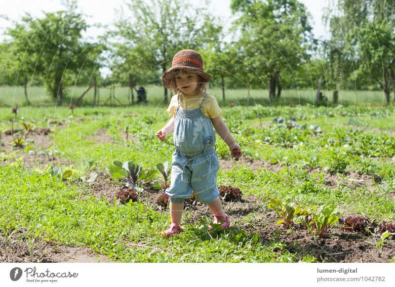 Mädchen im Feld Gemüse Freude Sommer Garten Kind Gartenarbeit Kleinkind Baum Hut lachen anbauen Beet Ernte Gemüsebeet Obstbaum pflegen Radieschen Kindheit