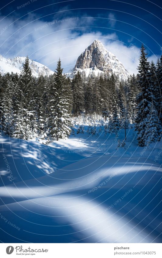 Admonter Kalbling Natur Landschaft Winter Schönes Wetter Schnee Berge u. Gebirge Schneebedeckte Gipfel kalt Abenteuer Österreich Farbfoto Außenaufnahme