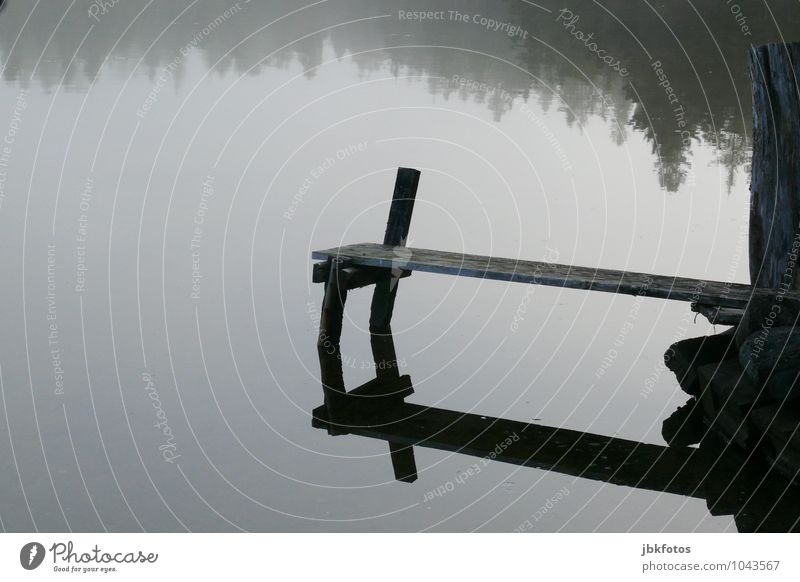 120 I ruhiges Plätzchen Umwelt Natur Landschaft Urelemente Wasser Schönes Wetter Nebel Pflanze Baum Küste Seeufer Bucht lake Bras D`Or beobachten Steg Holzbrett