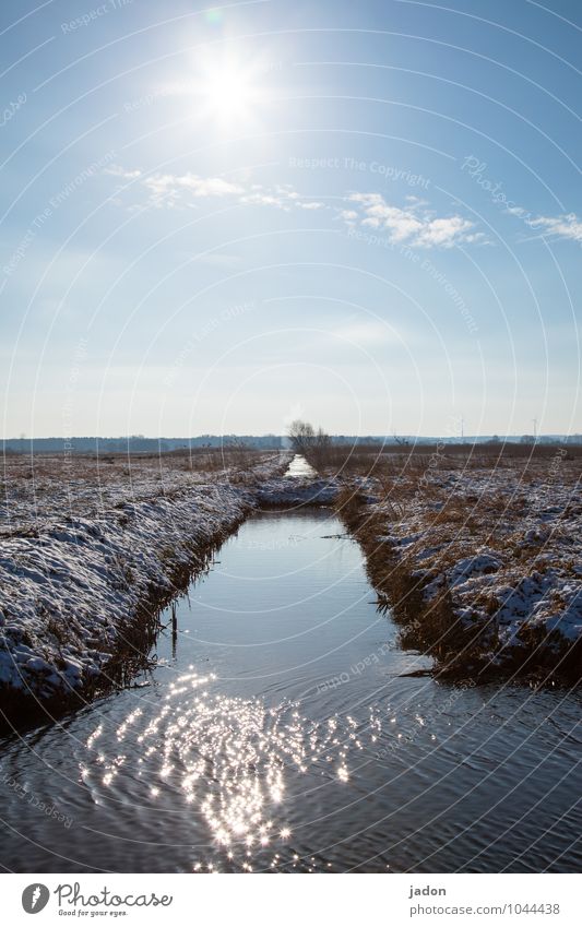 winterabschied. Umwelt Natur Landschaft Wasser Himmel Horizont Sonne Frühling Winter Schönes Wetter Eis Frost Schnee Gras Feld Bach Unendlichkeit kalt ruhig