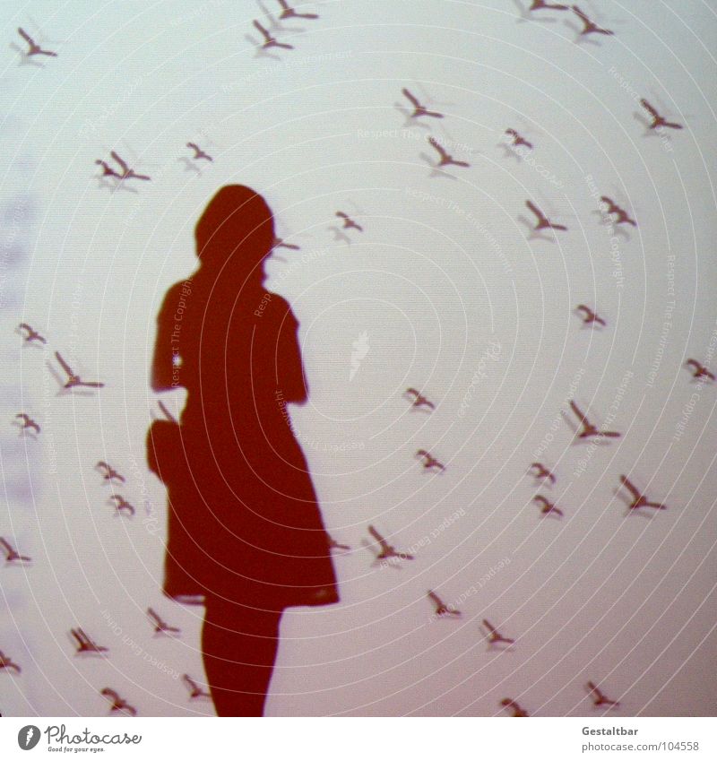 Schattenspiel 08 Vogel Frau feminin Silhouette frei geheimnisvoll In sich gekehrt Denken Tasche Porträt Aussicht Gute Laune gestaltbar Ausstellung