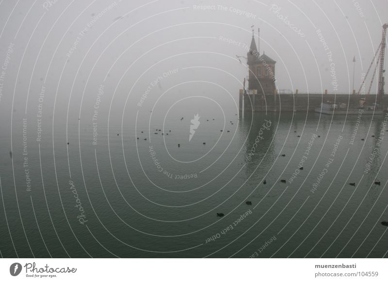 Herbstdepression bei Konstanz Meer Nebel dunkel Trauer Verzweiflung Angst Traurigkeit