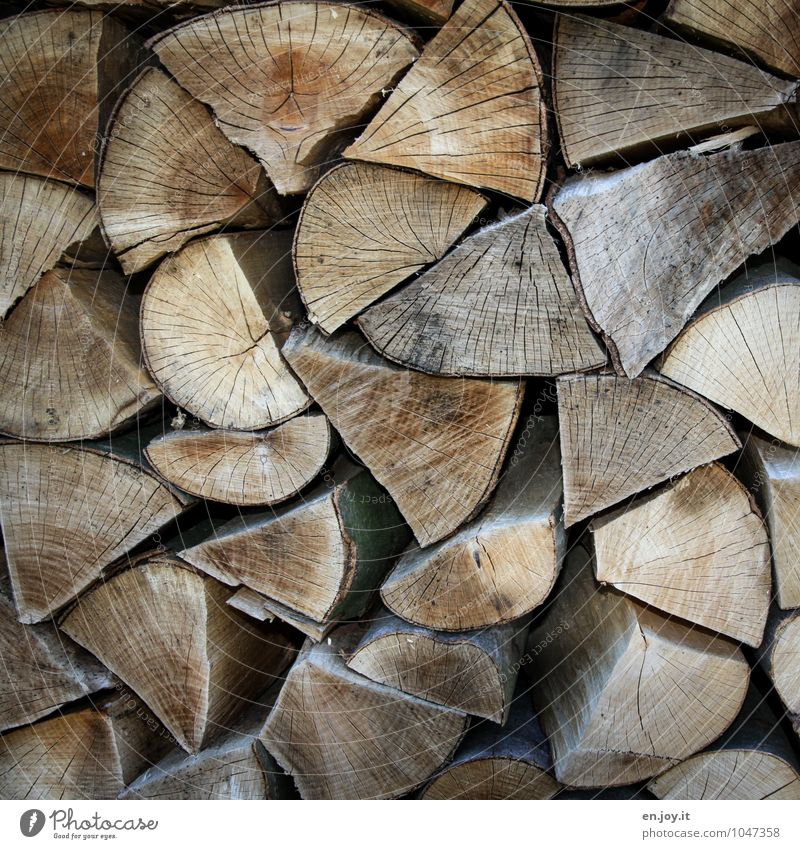 Der nächste Winter kommt bestimmt! Holzstapel Brennholz eckig nachhaltig natürlich Spitze trocken braun Zufriedenheit Geborgenheit kalt Klima Natur Umwelt