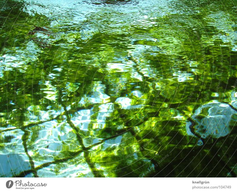 Algengrün an Wasserblau wellig dunkelgrün Licht Reflexion & Spiegelung Sommer Fliesen u. Kacheln Becken Kräuselung. Hellblau