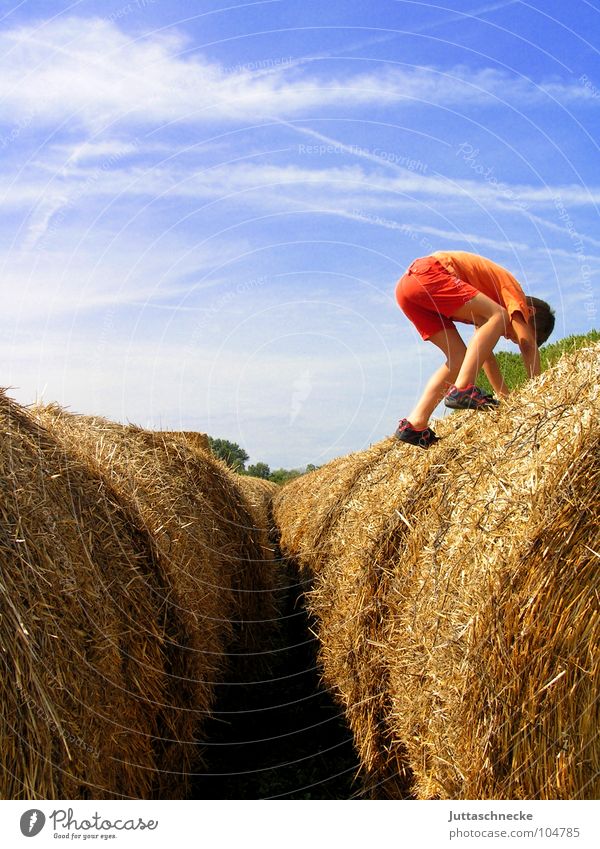 Von den blauen Bergen... Heuballen Heurolle Rolle Kind Kindheit Klettern Feld Junge Landwirtschaft Sommer Herbst springen Geschicklichkeit Spielen Spielplatz