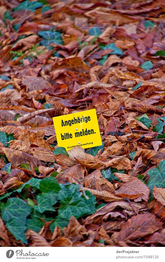 Bitte melde dich Lifestyle Tourismus Umwelt Natur Landschaft Pflanze Urelemente Herbst Blatt Park Stadtrand überbevölkert Sehenswürdigkeit Zeichen