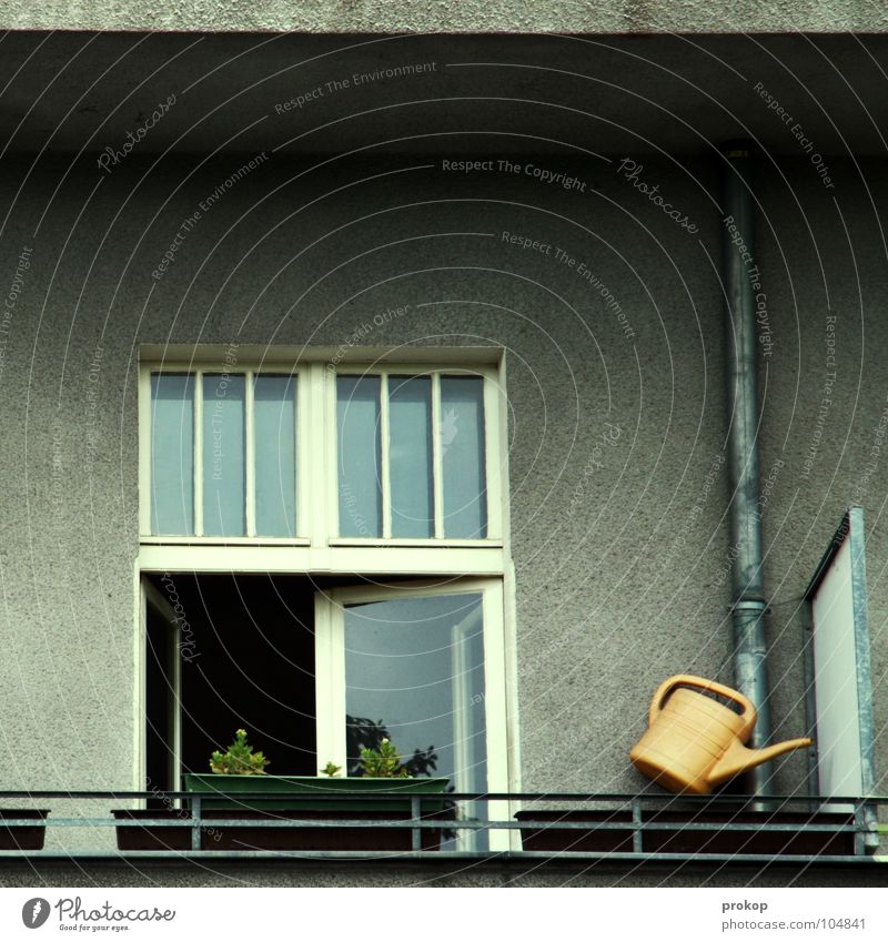 Eden Balkon Haus Fenster Gießkanne Wohnung Blume Sauberkeit aufräumen Isolierung (Material) Nachbar Häusliches Leben Detailaufnahme Langeweile Zufriedenheit