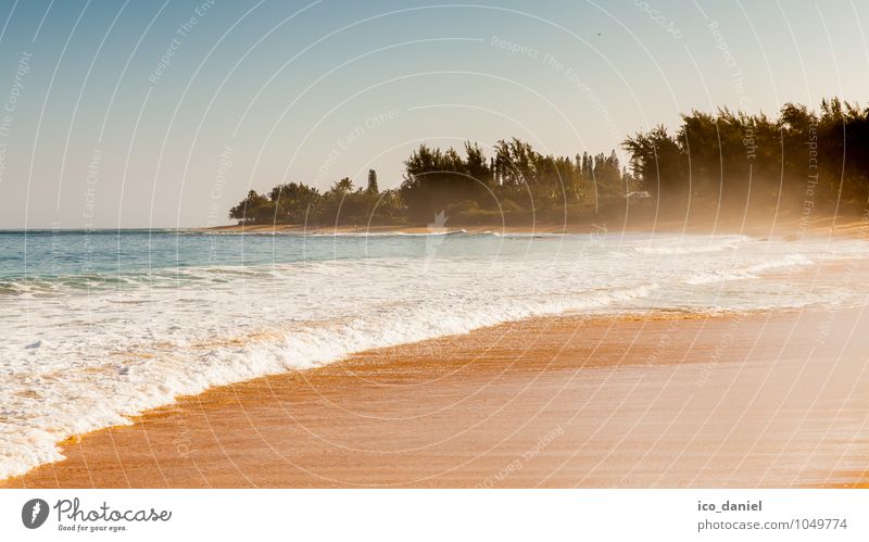 hawaiian beach Lifestyle Reichtum Freude Glück Freizeit & Hobby Ferien & Urlaub & Reisen Tourismus Abenteuer Ferne Freiheit Sommer Sommerurlaub Sonne Strand