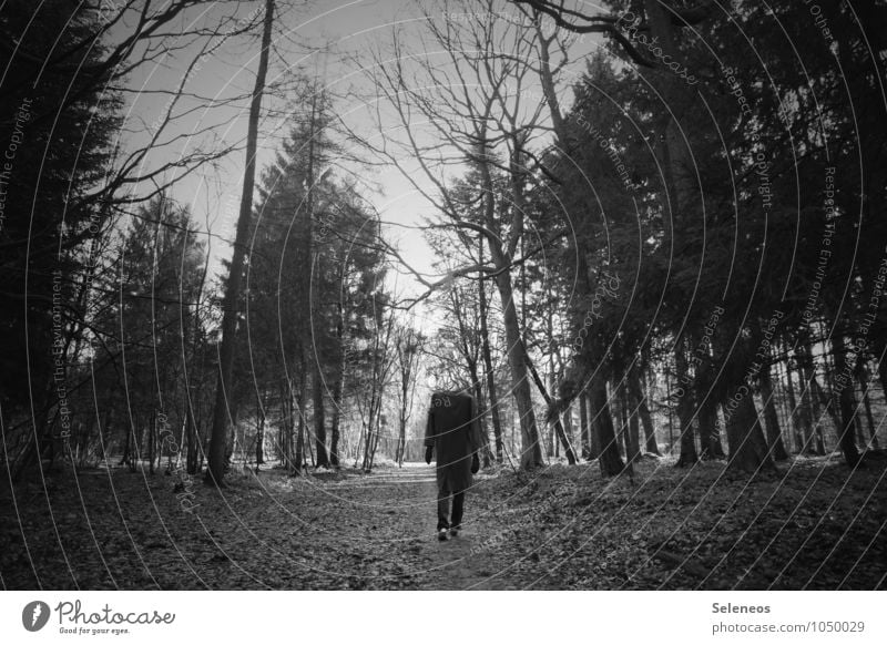walking dead Ausflug wandern Halloween Mensch Mann Erwachsene 1 Umwelt Natur Herbst Winter Wald Mantel gehen gruselig Spazierweg Schwarzweißfoto Außenaufnahme