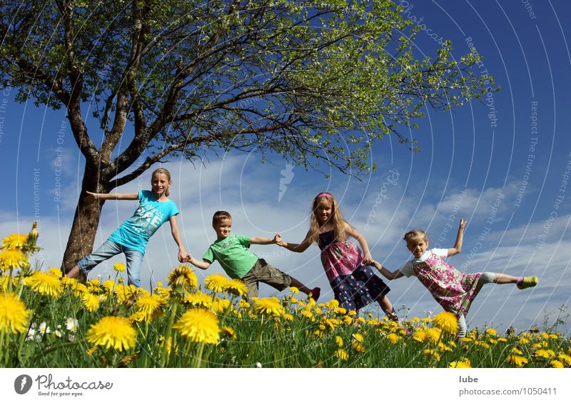 Frühling Freude Glück Mensch Kind Kindheit 4 3-8 Jahre Umwelt Natur Landschaft Schönes Wetter Blume Gras Wiese Fröhlichkeit Frühlingsgefühle Freundschaft