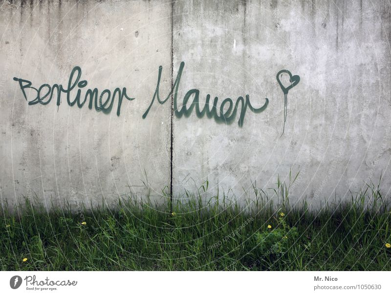 Auf die Dauer fällt die Mauer Freiheit Städtereise Pflanze Gras Stadt Bauwerk Wand Wahrzeichen grau grün Graffiti Berlin Berliner Mauer Wiedervereinigung