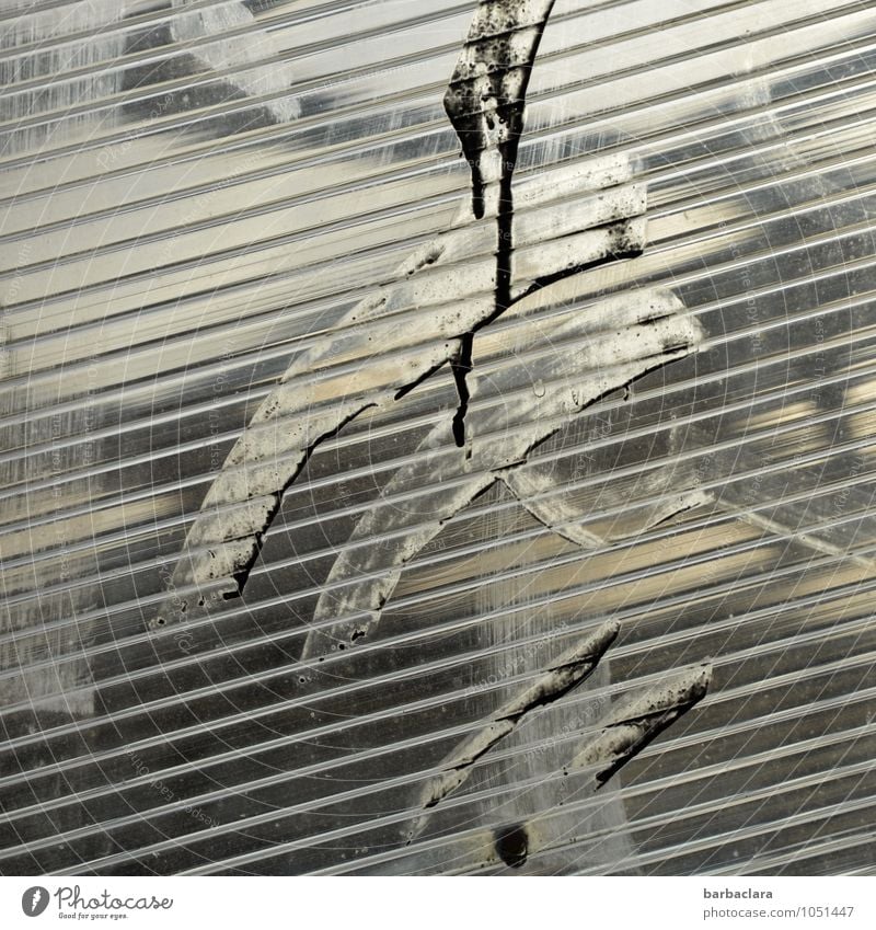 Experiment | Kunstwerk Bauwerk Fassade dreckig Glas Kunststoff Zeichen Linie Streifen schwarz silber weiß ästhetisch bizarr Design Farbe Kreativität skurril