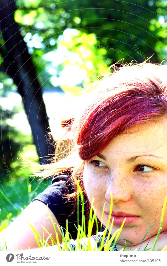 Tagträumerin rot grün Baum träumen Sommer Wiese Gras Frau Lippen Haare & Frisuren Sonne Gesicht Auge Nase