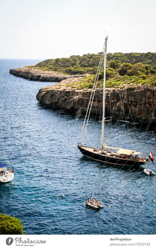 Mallorca von seiner schönen Seite 19 – mit Bucht Ferien & Urlaub & Reisen Tourismus Ausflug Freiheit Kreuzfahrt Sommerurlaub Umwelt Natur Landschaft Pflanze