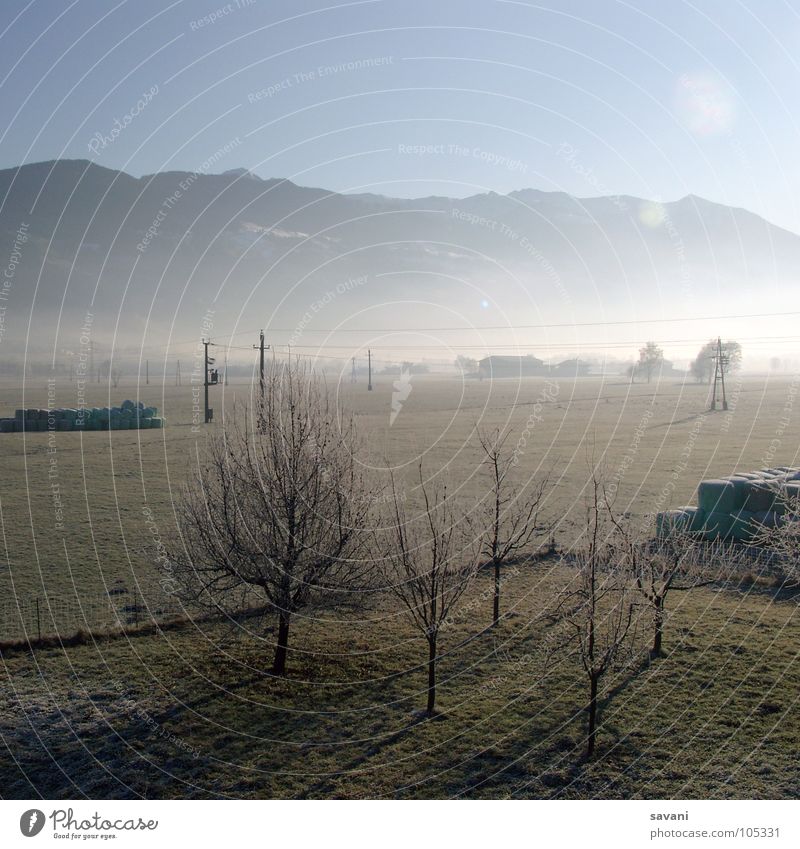Morgenstimmung ruhig Sonne Winter Berge u. Gebirge Natur Landschaft Schönes Wetter Nebel Baum Feld kalt Einsamkeit Österreich Morgennebel Strommast Tal Frost