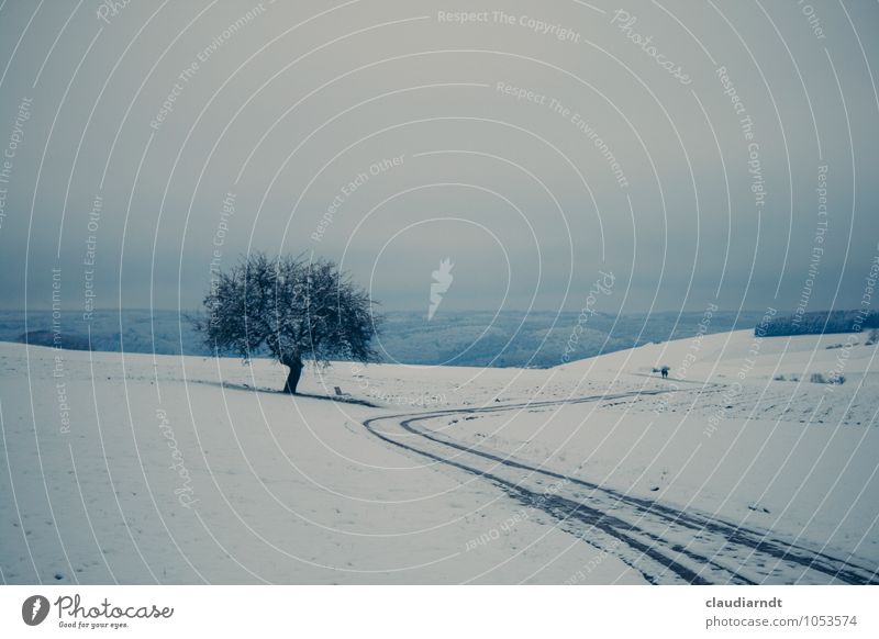 Weißes Land Natur Landschaft Pflanze Himmel Winter Eis Frost Schnee Baum Feld Wald Hügel laufen kalt blau weiß Freiheit ruhig Ferne Paar Südbaden Wege & Pfade