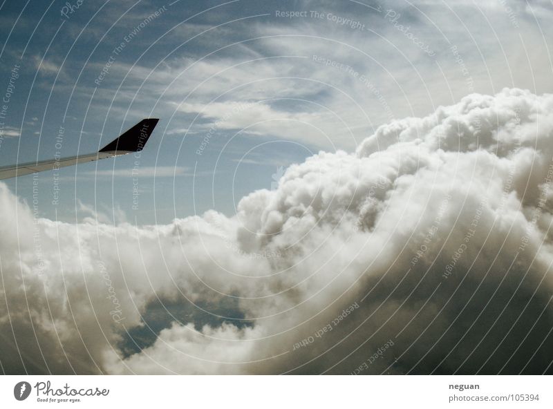 ueber den wolken Flugzeug Maschine Wolken weich kalt weiß Luft Luftverkehr Ferien & Urlaub & Reisen Flügel Metall Schnee
