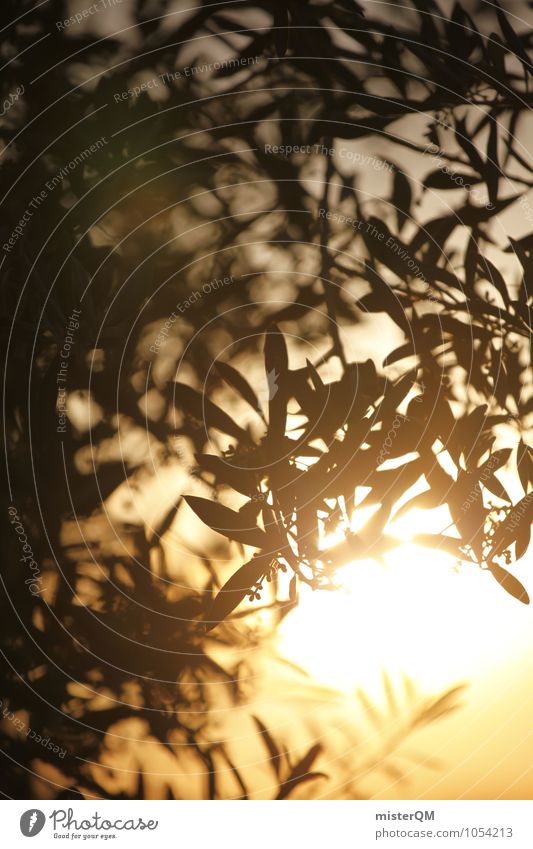 Blattgold. Kunst Natur ästhetisch verträumt Idylle friedlich Religion & Glaube Hoffnung Horizont Olivenbaum Olivenblatt Romantik Sonnenuntergang Urlaubsstimmung