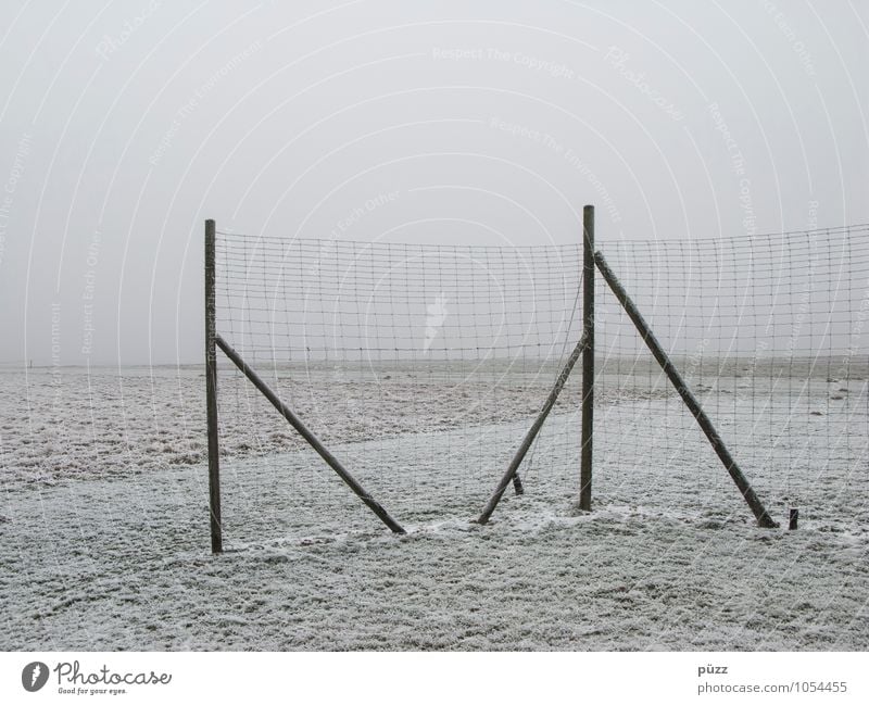Zaun Natur Landschaft Winter schlechtes Wetter Nebel Eis Frost Schnee Wiese Feld grau weiß Zaunpfahl Barriere Maschendrahtzaun trist Ferne Horizont Linie ruhig