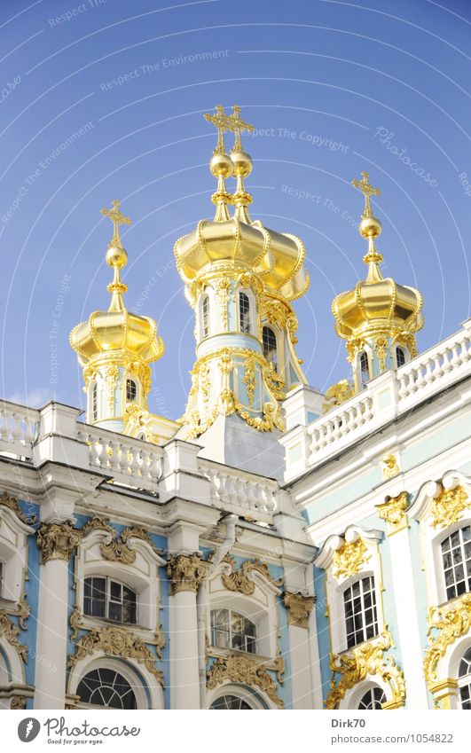 Russland. Märchenhaft. Städtereise Wolkenloser Himmel Sonnenlicht Frühling Schönes Wetter Puschkin St. Petersburg Kirche Palast Zwiebelturm Barock Fassade