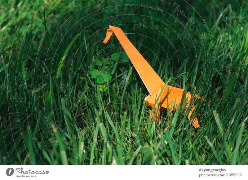 Origami orange Farbe Giraffe Design Freude Spielen Ferien & Urlaub & Reisen Tourismus Safari Dekoration & Verzierung Handwerk Kunst Zoo Natur Tier Park Wiese