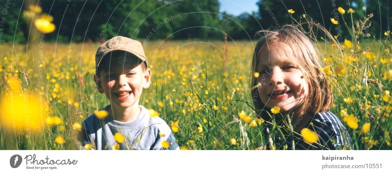 wiesenkinder Wiese grün Kind Blume Sommer Panorama (Aussicht) Querformat Mädchen lachen Sonne Freude Junge 5 jahre groß Panorama (Bildformat)