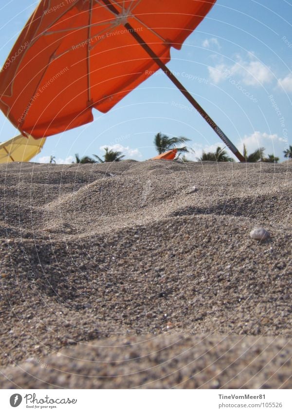 Miami Dreams Sonnenschirm Strand Sommer rot Ferien & Urlaub & Reisen Erholung Küste USA Sand frei