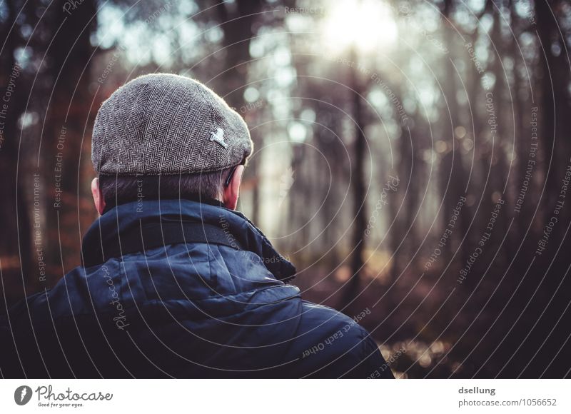Rücken eines Mannes der in den Wald schaut und Sonne genießt Lifestyle Mensch maskulin Erwachsene Kopf 1 18-30 Jahre Jugendliche Jacke Hut Mütze beobachten