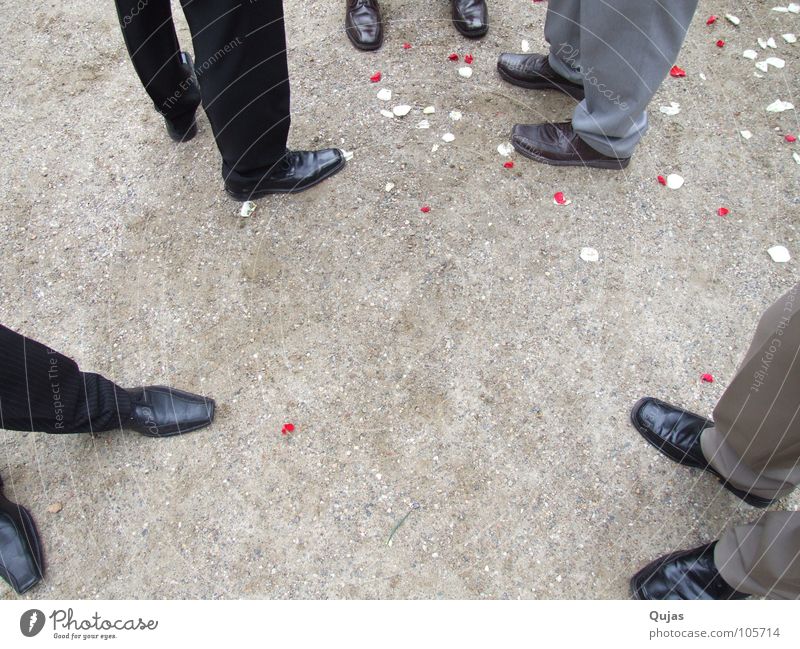 Schuhversammlung Schuhe Anzug stehen gut fein Anlass Blütenblatt Mann Finale Ereignisse Hochzeitsgesellschaft Menschengruppe Feste & Feiern warten Bodenbelag