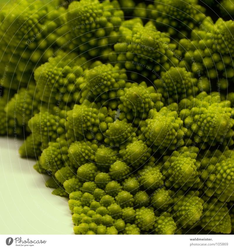 Fraktales Gemüse Blumenkohl Brokkoli chaotisch Spirale Gesundheit Strukturen & Formen Vegetarische Ernährung Vitamin grün Romanesco Romanescu