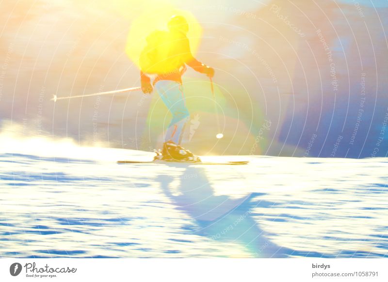 ideales Skiwetter Freude Freizeit & Hobby Tourismus Winter Schnee Winterurlaub Skifahrer alpin Skifahren Skipiste 1 Mensch 18-30 Jahre Jugendliche Erwachsene