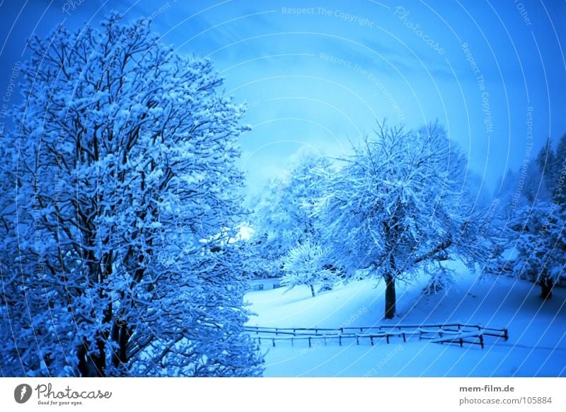 blaue stunde in weiß Schneelandschaft Winter kalt Schnellzug Neuschnee Dezember Januar weis Eis snow cold Teile u. Stücke Klimawandel Berge u. Gebirge Alpen