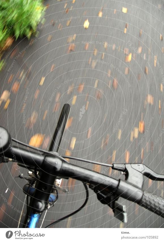 Briefkastenleerung Gedeckte Farben Außenaufnahme Tag Gesundheit Spielen Ausflug Fahrradfahren Herbst Verkehrsmittel Wege & Pfade Mütze Bewegung Geschwindigkeit