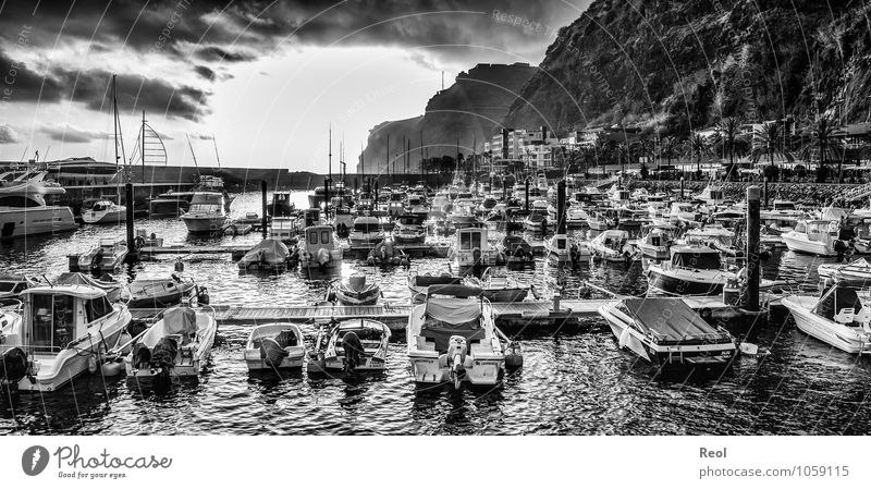 Hafen Ferien & Urlaub & Reisen Tourismus Ausflug Sightseeing Kreuzfahrt Urelemente Wasser Wolken Sommer Wellen Küste Meer Insel Madeira Klippe Calheta Hotel