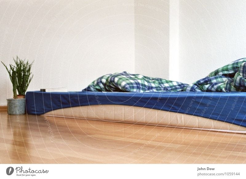 blau kariert Häusliches Leben Topfpflanze schlafen Müdigkeit Bettwäsche Bettdecke Bettlaken Schlafmatratze spartanisch bescheiden gemütlich hell Kissen