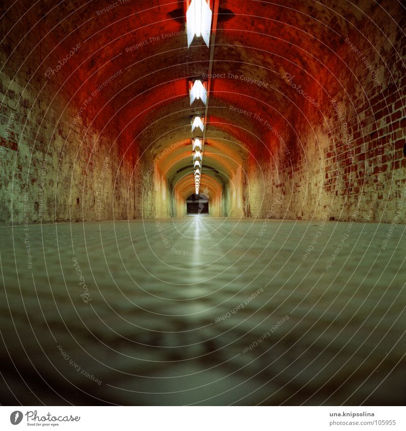 tunnel Tunnel Verkehr Verkehrswege Wege & Pfade Backstein gehen laufen rot Tunnelblick unterirdisch Sog Zugang Ausgang analog Mittelformat Durchbruch bohren