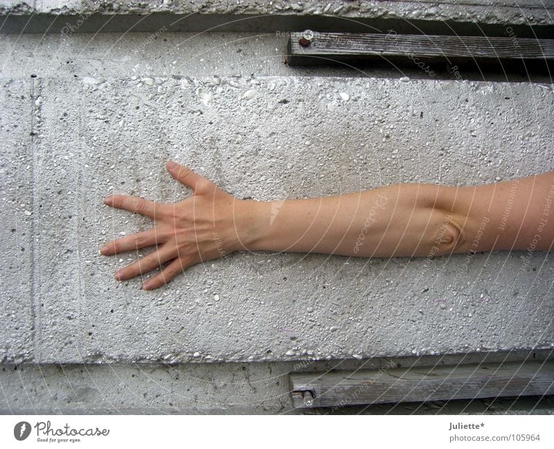 LONG ARM Finger umfassen Beton lang Ringfinger Mittelfinger Zeigefinger Daumen Hand Extremsport Graffiti Wandmalereien Funsport Arme kleiner Finger Grafitti