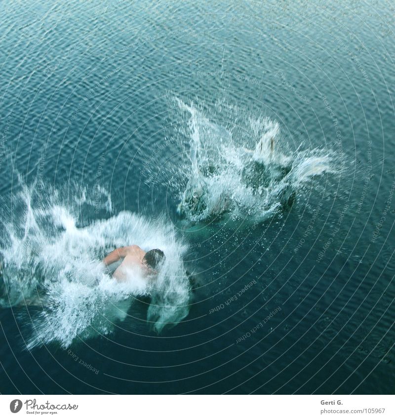 Reinspringer Erfrischung springen See Wasseroberfläche spritzen Wasserspritzer kalt Sport Schwimmsport Schwimmsportler Wasserfontäne Sommer Oberkörper tauchen