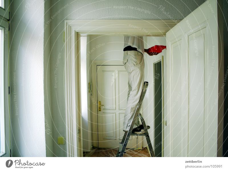 Renovierung Renovieren Wand weiß Weisheit Trittleiter Haushalt Fenster Flur Durchgang Arbeit & Erwerbstätigkeit Mensch Häusliches Leben malern Anstreicher Farbe