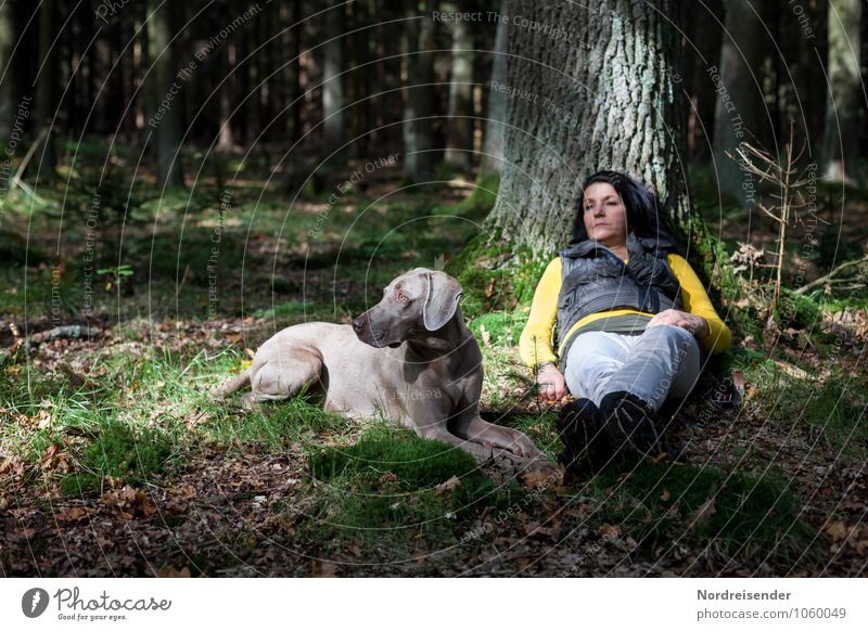 Aufpassen..... Lifestyle Sinnesorgane Erholung ruhig Freizeit & Hobby Mensch Frau Erwachsene Natur Baum Wald schwarzhaarig langhaarig Tier Haustier Hund sitzen