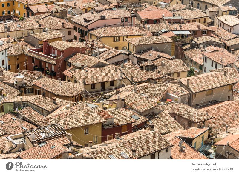 Dächer einer italienischen Stadt Haus Landschaft Stadtzentrum Altstadt überbevölkert Menschenleer Einfamilienhaus Bauwerk Mauer Wand Balkon Terrasse Dach