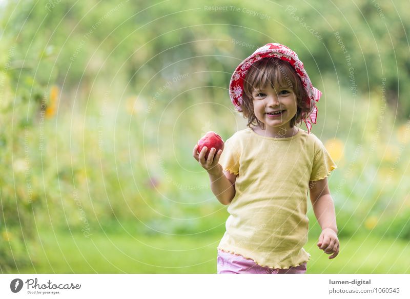Mädchen mit Apfel Frucht Ernährung Freude Gesicht Sommer Kind Mensch Kleinkind 1 1-3 Jahre Hut lachen Fröhlichkeit frisch klein Kindheit Apfelbaum beißen essen