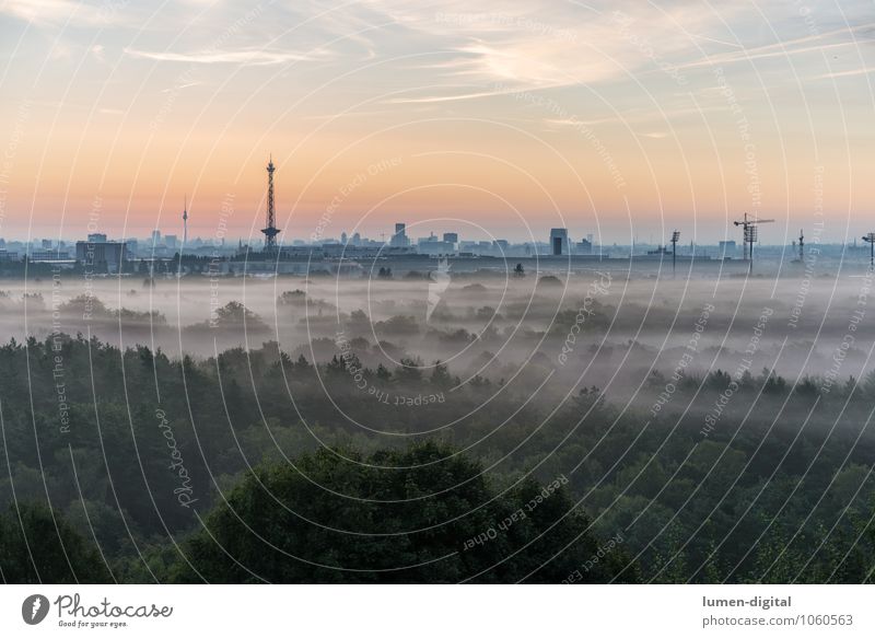 Berlin nach Sonnenaufgang Wolken Nebel Baum Wald Deutschland Europa Stadt Hauptstadt Skyline Hochhaus Dach Beginn Tourismus aufwachen fernsehturm Funkturm